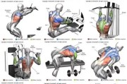 【健身肩部后束怎么练】健身后束训练指南，有效提升背部力量和塑造完美身材