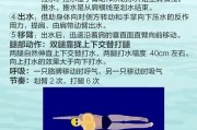 【怎么学会游泳视频教程】怎样学会游泳？学会游泳的有效视频教程分享