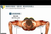 【初中男生怎么练肌肉】初中男如何科学练肌肉？