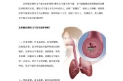 【怎么增加快肌纤维】怎样通过护理方法增加白肌纤维