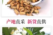 玳玳花的功效与作用：提神醒脑、滋养肌肤、缓解疼痛