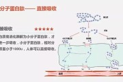 【怎么样更好的促进身体吸收蛋白质】怎样更好吸收蛋白质？