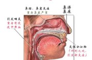 咽炎症状：了解咽炎的症状前，你需要知道这些