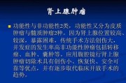 肾上发现肿瘤？了解症状、诊断和治疗方法