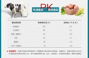 【健身蛋白粉怎么吃最合理】健身与蛋白粉的正确食用方法