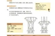 【后背怎么练才能练薄】如何快速练成以后背关键词