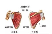 【为什么要按摩冈下肌的痛点呢】如何正确按摩冈下肌？