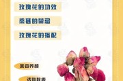 玫瑰花的功效与作用——美容、舒缓压力、抗菌