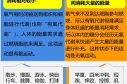 【怎么样才算有氧运动】如何正确判断有氧运动