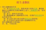 深入了解B12的作用和重要性