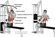 【怎么练背部肌肉】如何通过训练来锻炼背部肌肉
