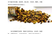 雪菊的功效与作用，保护免疫系统，预防感冒