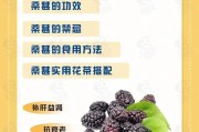 桑椹：神奇健康之果，探秘其医学价值和食用益处