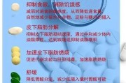 最安全减肥药排行榜 – 选择健康减重方法，拥有理想身材