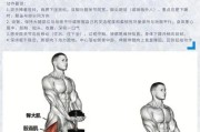 【屁股侧边肌肉酸疼怎么回事】如何锻炼屁股边上的肌肉