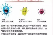 支原体肺炎症状：了解症状及其表现