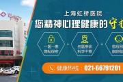 上海精神科医院：专业心理健康服务提供者