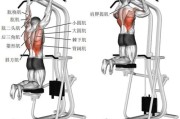 【引体向上辅助器怎么安装】如何正确使用引体向上辅助器？