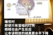 褪黑素副作用：影响睡眠质量的潜在风险