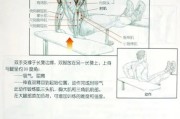 【怎么练臂肌肉】如何科学有效地练好臂肌