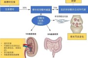 嘌呤代谢紊乱对健康的影响及防治措施