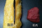 【怎么区分肌肉和肥肉】如何区分肌肉和脂肪？