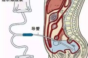 尿毒症遗传吗？解析尿毒症的遗传因素