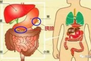 胰腺炎症状：了解引起疾病的相关征兆和症状