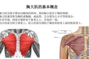 【怎么知道自己有没有胸肌】如何判断胸肌的薄厚？