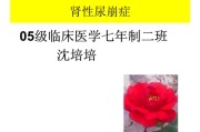 肾性尿崩症：原因、症状与治疗