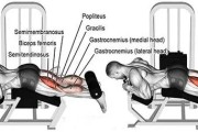 【外侧腓肠肌怎么练】健身指南：如何训练腓肠肌