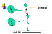 【平衡运动】平衡运动的关键技巧大揭秘