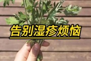 治疗皮肤病，告别烦恼，拥抱健康