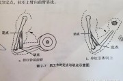 【怎么练上肢肌肉】如何科学有效地练习上肢？