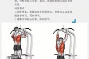 【怎么提高背部力量】如何通过训练提高背部宽度