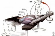 【胫骨前肌怎么练】如何科学训练肌肉——前据肌怎么练