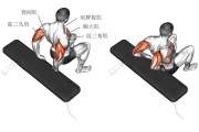 【tribulus正常人可以吃吗】如何使用triceps press器械锻炼三头肌？