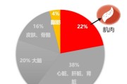 【怎么增肌提高代谢】增肌如何影响代谢？