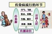 衣原体感染：症状、传播途径及预防