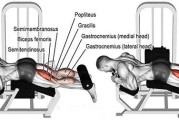 【俯卧腿拉伸怎么做】如何正确进行俯卧腿练习