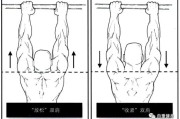 【引体向上手怎么握杆不疼】如何正确握杆进行引体向上