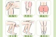 【大腿股四头肌锻炼方法】大腿股四头肌怎么减？掌握这四个步骤，轻松瘦腿！