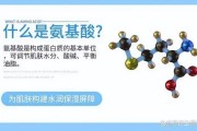 氨基酸的副作用：了解其潜在风险与安全性