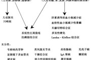 风湿性血管炎及其致病机制研究