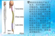 了解脊柱脊髓损伤，保护脊椎健康重要