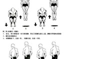 【怎么样训练弹跳力和滞空能力】怎样训练弹跳力：揭秘增强垂直跳跃能力的秘诀