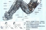 【怎么快速练仰卧起坐的方法】如何快速练仰卧起坐？