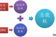 【怎么提高体力和耐力】怎样提高走路耐力？四个方法让你走得更远更久