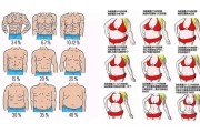 【体脂率标准对照表】了解体脂率的测量方法与重要性