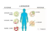 免疫系统疾病症状：探索身体的自我攻击